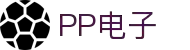 pp电子(中国)官方网站